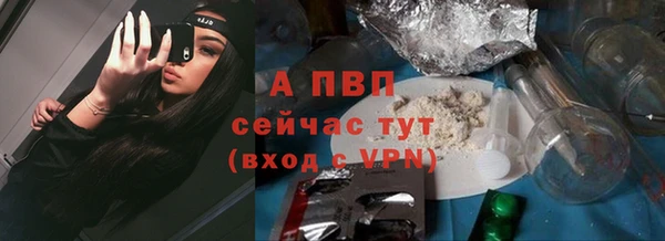 амф Липки