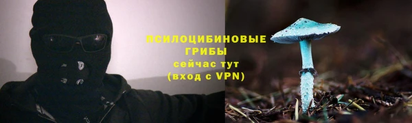 амф Липки