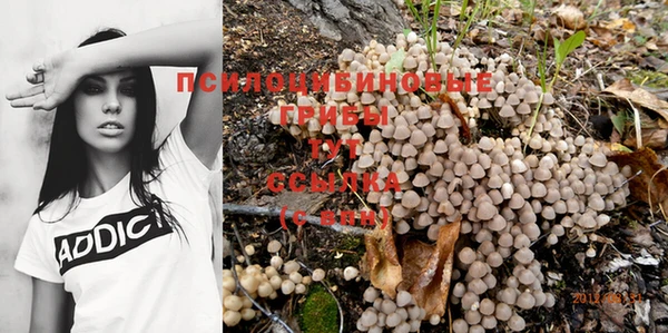 амф Липки