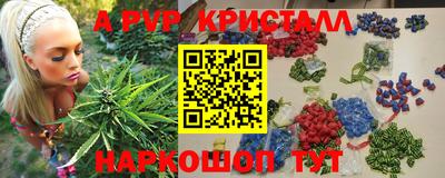 индика Гатчина