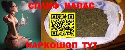 индика Гатчина