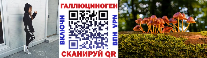 где купить наркоту  Новоалтайск  ОМГ ОМГ ссылка  Псилоцибиновые грибы Magic Shrooms 