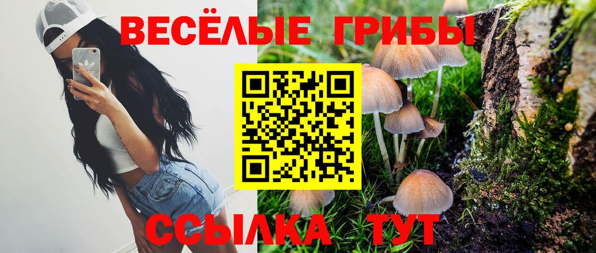 Каннабис  Новоалтайск  Меф кристаллы  Alpha PVP СОЛЬ   Вход с VPN  COCAIN 