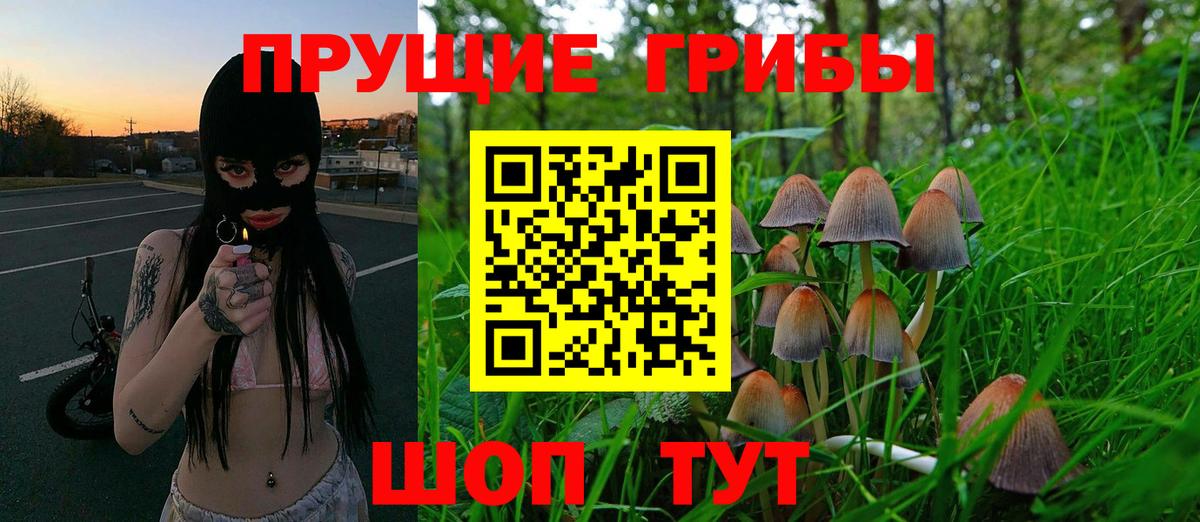 Галлюциногенные грибы Psilocybe  Вход с VPN  Новоалтайск  наркотики  Галлюциногенные грибы ЛСД 